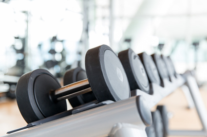 Musculation
